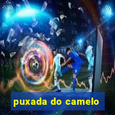 puxada do camelo